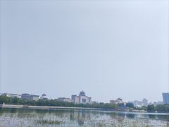 -莲花池公园