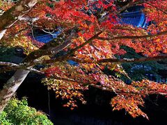 -醍醐寺