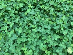 -回龙观体育文化公园