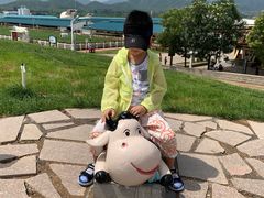 -君乐宝优致牧场