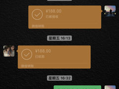 -喵百万·布偶·蓝金金渐层英短·猫舍(百子湾店)