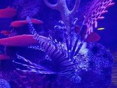 -沈阳海洋探索中心