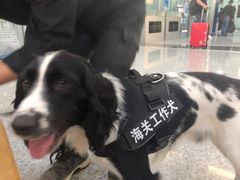 -常州奔牛国际机场