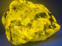 -湖南省地质博物馆