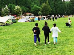 -武陵山森林公园