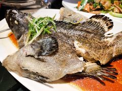 清蒸老虎斑-达叔香味海鲜(海棠68环球美食街店)
