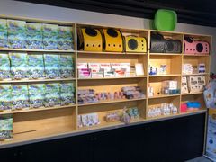 -猫十亿·布偶金渐层·曼基康矮脚猫舍(青年路店)