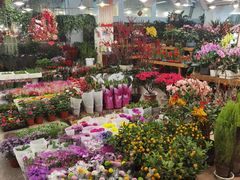 -双季花艺园艺市场(浦东店)
