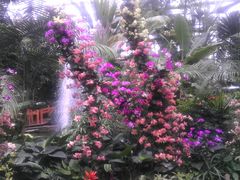 -北京植物园-展览温室
