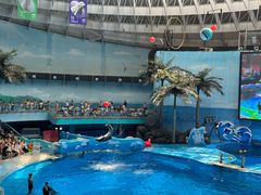 -海合安成都极地海洋公园