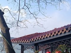 -天目湖山水园