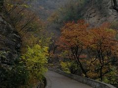 -北京上方山国家森林公园