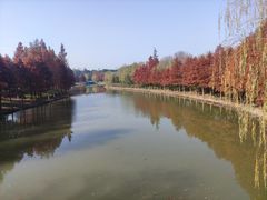 -狼山风景名胜区