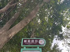 -三圣花乡旅游区