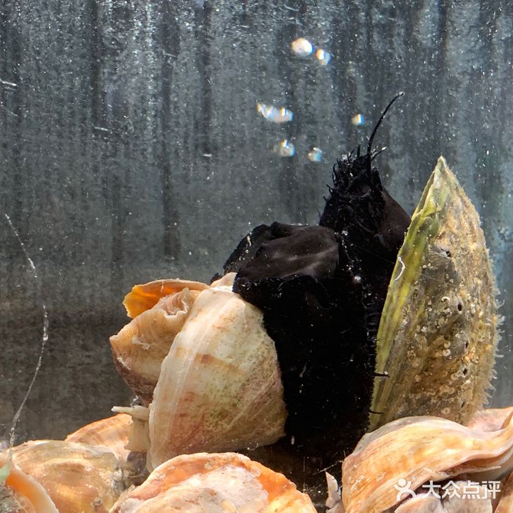 寻味顺德|六粤源味|🆘老板也太会做私房菜了吧!