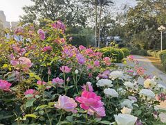 -人民公园(罗湖区)