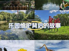 -黑龙江省森林植物园