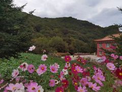 -香炉山国家森林公园