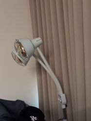 -功夫肩颈先柚美容养生