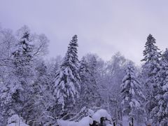 -雪谷