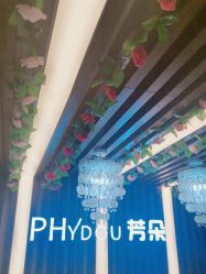 -芳朵美容养生SPA