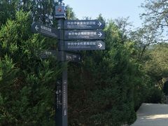 -延安杨家岭革命旧址