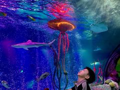 -沈阳海洋探索中心