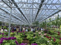 -洛阳市隋唐城遗址植物园