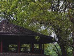 -Club Med地中海俱乐部·桂林度假村