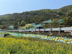 -四明山国家森林公园