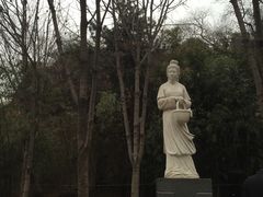 -西安曲江寒窑遗址公园
