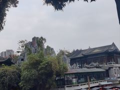 -荔湾湖公园