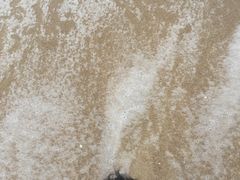 -玫瑰海岸文化旅游度假区