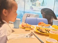 -帝企鹅自助餐厅•儿童岛•真企鹅(长隆企鹅酒店)