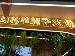 -旧县羊蝎子(旧县店)