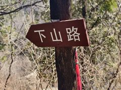 -阳台山自然风景区