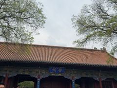 -晋祠公园