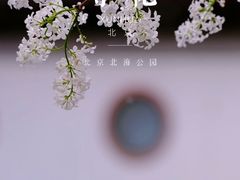 -北海公园