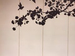 -新紫霞养生·影院足道·SPA(金山区店)