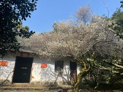 -东明山森林公园