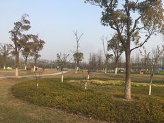 -上海长兴岛郊野公园