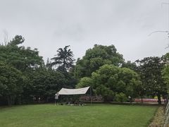 -上海滨江森林公园