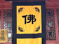 -洛阳白马寺