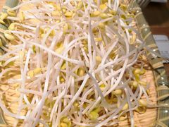 -守柴炉烤鸭(科华中路王府井店)