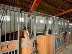 -北京群众马术培训基地