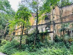 -缙云山景区