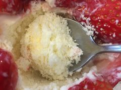 -ICEPOPO MILK(玉兰店)
