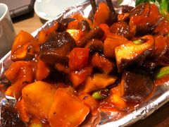 -素虎小呆鸟(西二旗店)