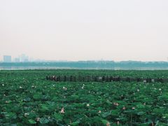 -阳澄湖半岛旅游度假区