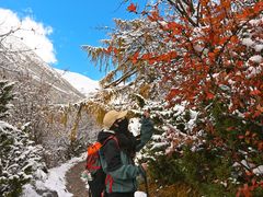 -贡嘎雪山